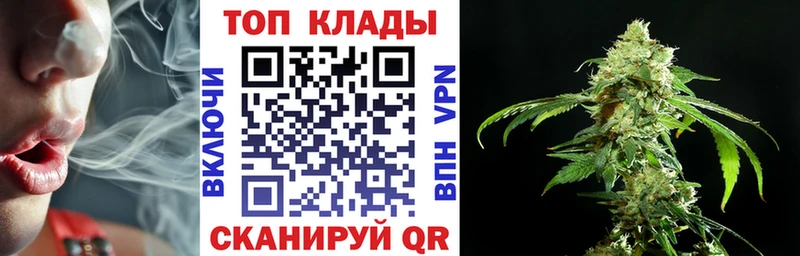 ГАШ Шумиха