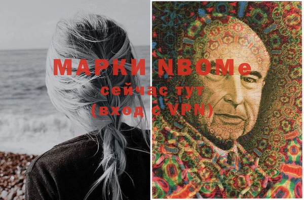 бошки Белокуриха