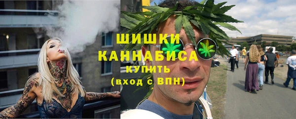 бошки Белокуриха