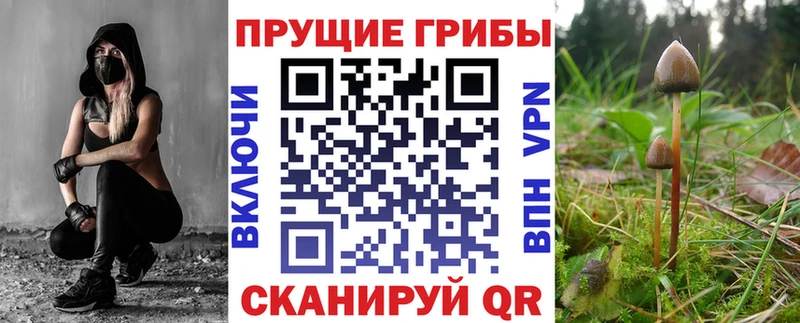Псилоцибиновые грибы Magic Shrooms  Шумиха 